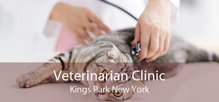 Veterinarian Clinic Kings Park New York