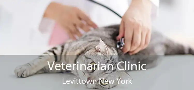 Veterinarian Clinic Levittown New York
