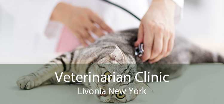 Veterinarian Clinic Livonia New York