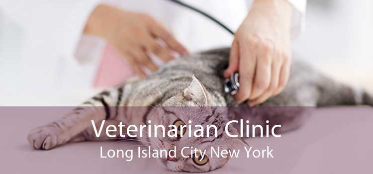 Veterinarian Clinic Long Island City New York