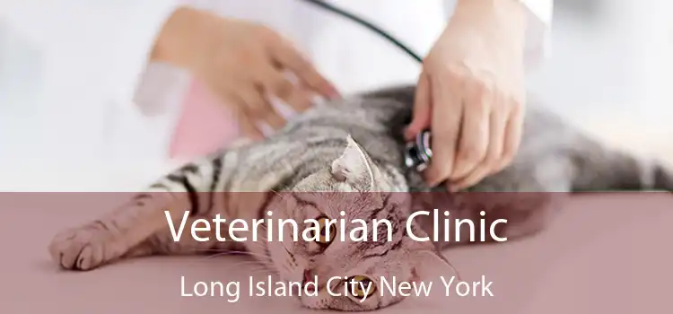 Veterinarian Clinic Long Island City New York