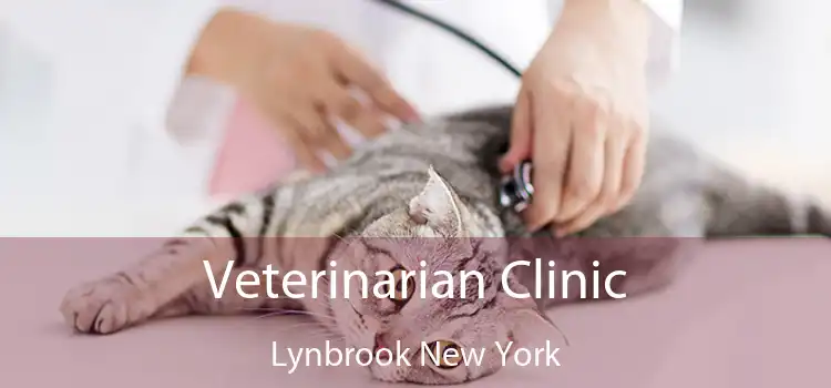 Veterinarian Clinic Lynbrook New York