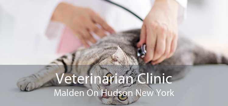 Veterinarian Clinic Malden On Hudson New York