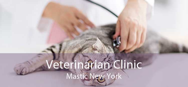 Veterinarian Clinic Mastic New York