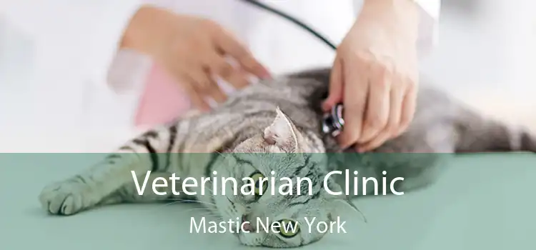 Veterinarian Clinic Mastic New York