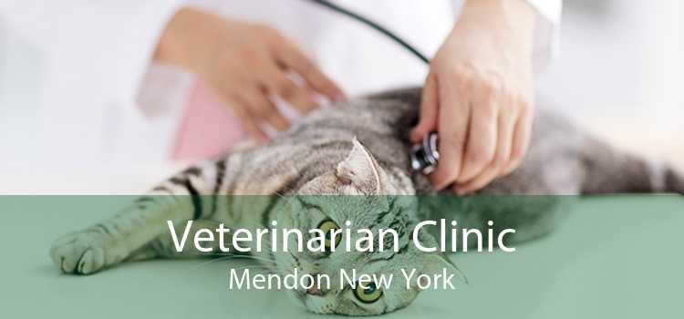 Veterinarian Clinic Mendon New York