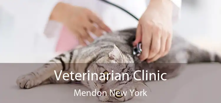 Veterinarian Clinic Mendon New York