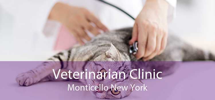 Veterinarian Clinic Monticello New York