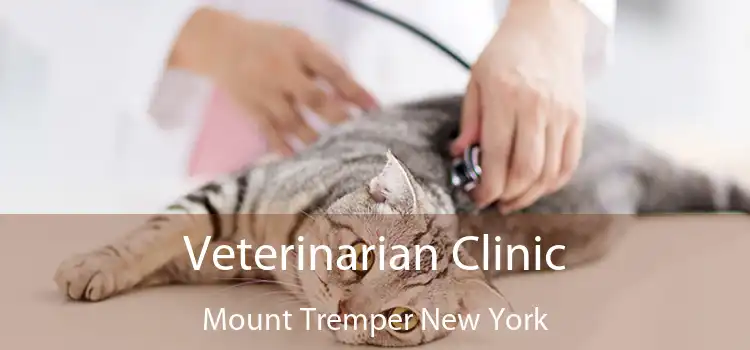 Veterinarian Clinic Mount Tremper New York