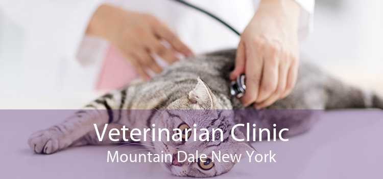 Veterinarian Clinic Mountain Dale New York