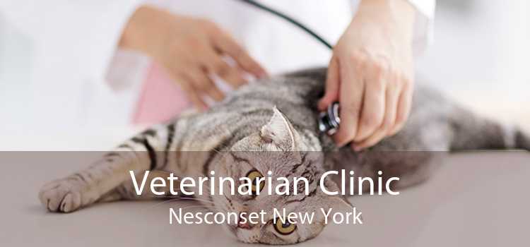 Veterinarian Clinic Nesconset New York