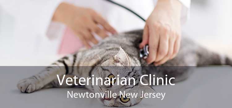 Veterinarian Clinic Newtonville New Jersey
