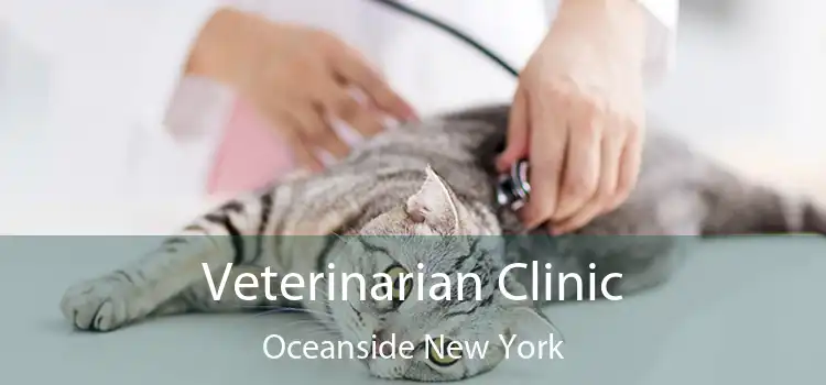 Veterinarian Clinic Oceanside New York