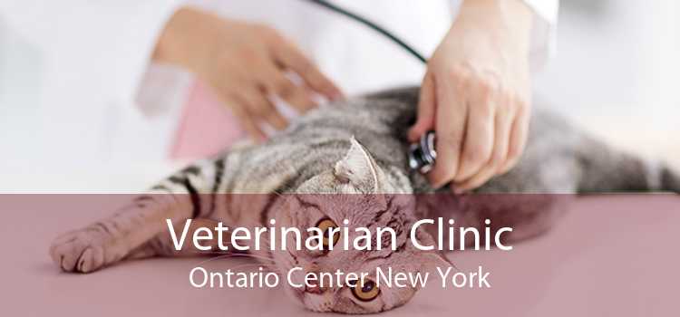 Veterinarian Clinic Ontario Center New York