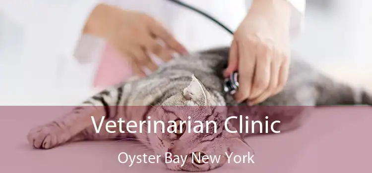 Veterinarian Clinic Oyster Bay New York
