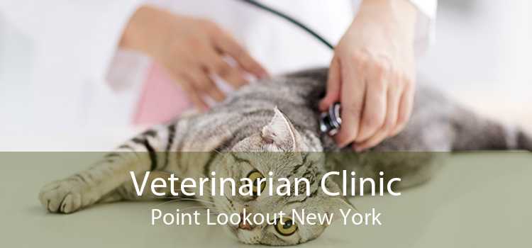 Veterinarian Clinic Point Lookout New York