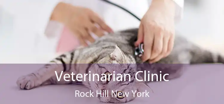 Veterinarian Clinic Rock Hill New York