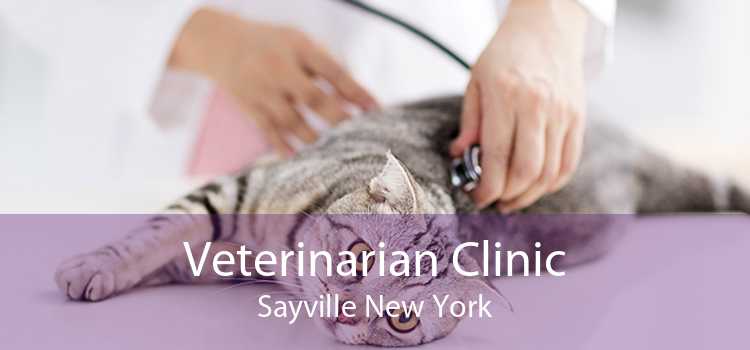 Veterinarian Clinic Sayville New York