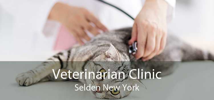 Veterinarian Clinic Selden New York
