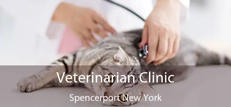 Veterinarian Clinic Spencerport New York