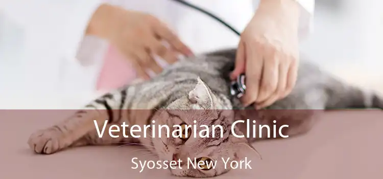 Veterinarian Clinic Syosset New York
