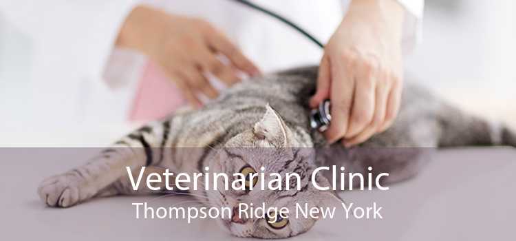 Veterinarian Clinic Thompson Ridge New York