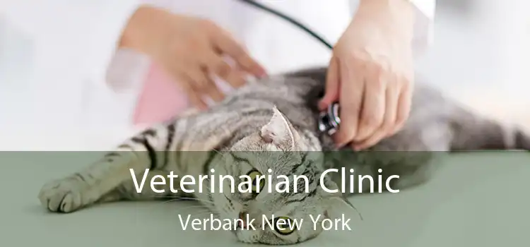 Veterinarian Clinic Verbank New York