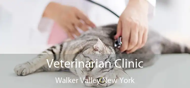 Veterinarian Clinic Walker Valley New York