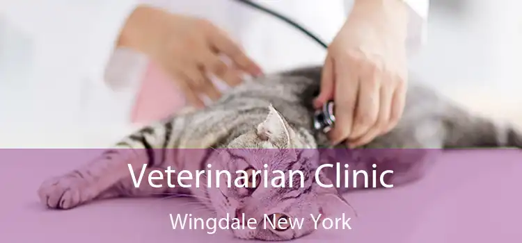 Veterinarian Clinic Wingdale New York