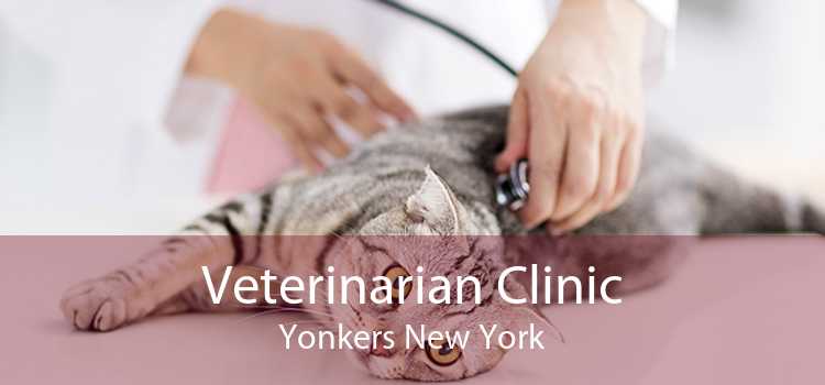 Veterinarian Clinic Yonkers New York