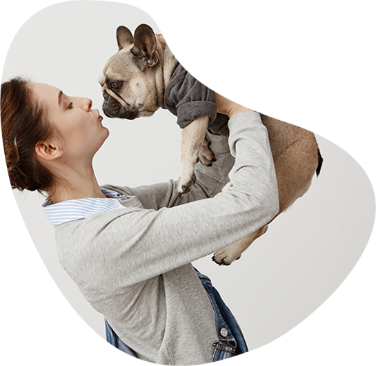 best Cambria Heights veterinarian clinic